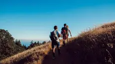 Tre escursionisti impegnati in un trekking