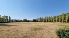 Il parco Castelli, a Mompiano, durante la caldissima estate dell'anno scorso