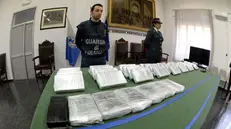 Tra le attività dei clan mafiosi albanesi a Brescia, l'import della cocaina - Foto Gabriele Strada/Neg © www.giornaledibrescia.it