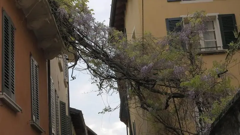 Il ponte naturale che sovrasta vicolo Lungo - Foto Lara Contavalli