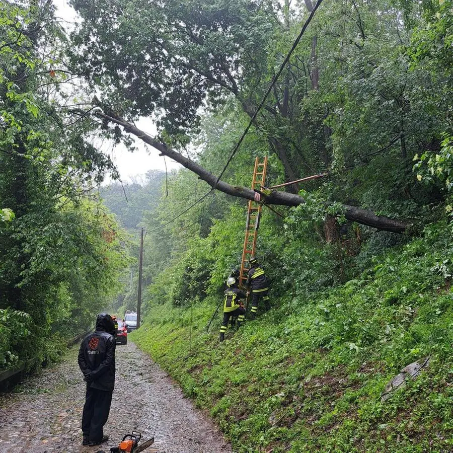 Costalunga, albero crolla sulla linea elettrica: isolato il monastero
