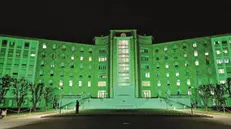 La facciata dell’Ospedale Civile illuminata di verde, colore della salute mentale
