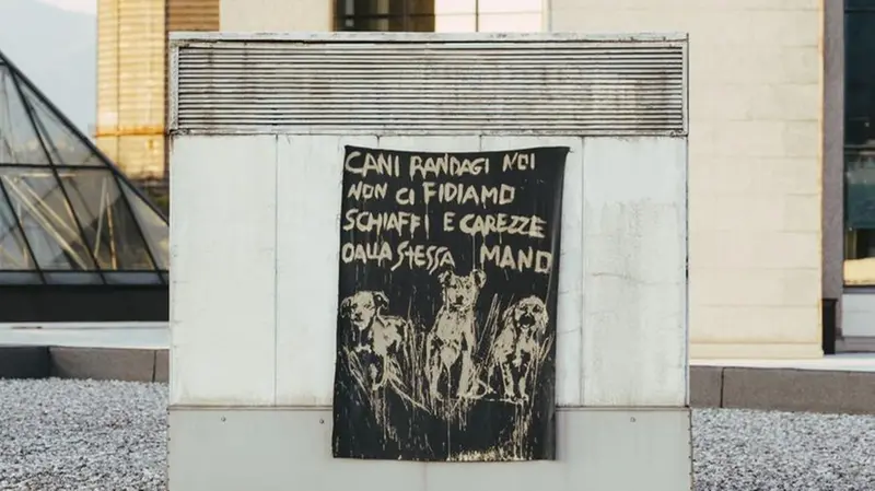 L'opera dedicata ai cani abbandonati - © www.giornaledibrescia.it