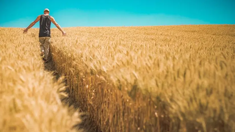 Due i filoni di investimenti previsti da Regione Lombardia