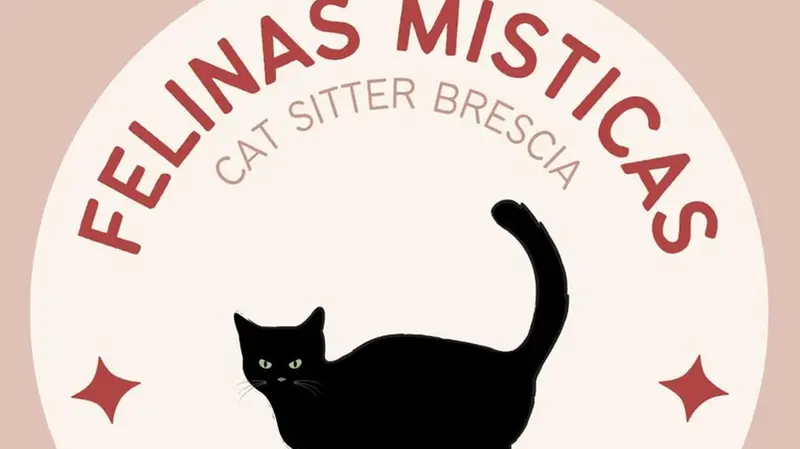 Il logo dell'attività di Fernanda Hinostroza - © www.giornaledibrescia.it