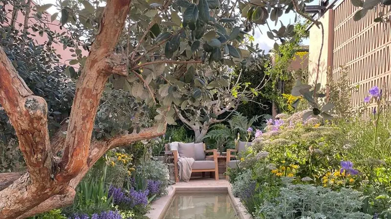 La grande vasca all'ombra di un fico - © www.giornaledibrescia.it