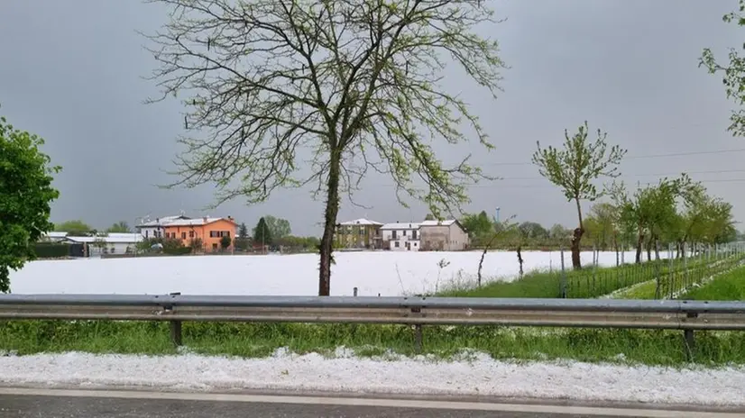 Il paesaggio imbiancato tra Desenzano, Sirmione e Peschiera