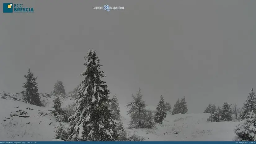 Il Monte Guglielmo innevato nella webcam di Meteopassione.com - © www.giornaledibrescia.it