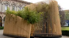 L'installazione della paesaggista Silvia Ghirelli presentata a Milano