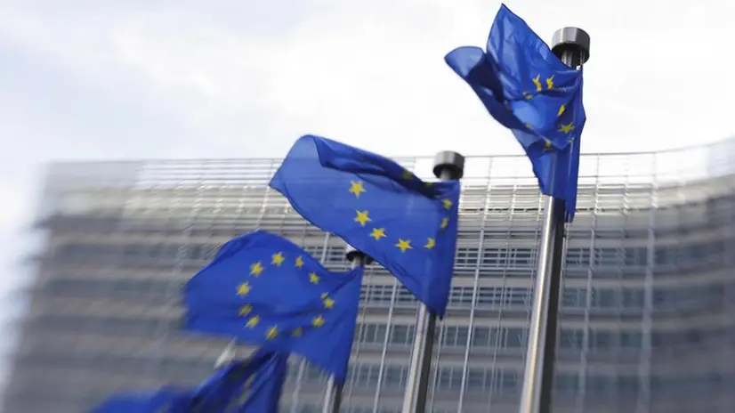 CUSTODIA VALIGIA PORTA MUNIZIONI MTM VALIGETTA AMMO ZOMBIE - Foto 4