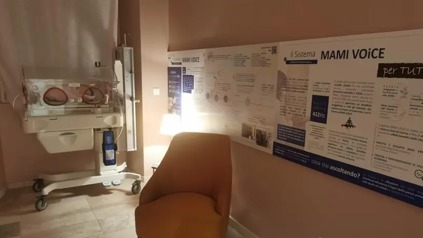 In mostra la «Brescia che cura»