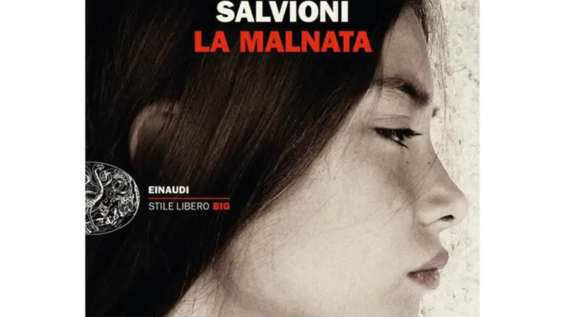 La copertina di La Malnata