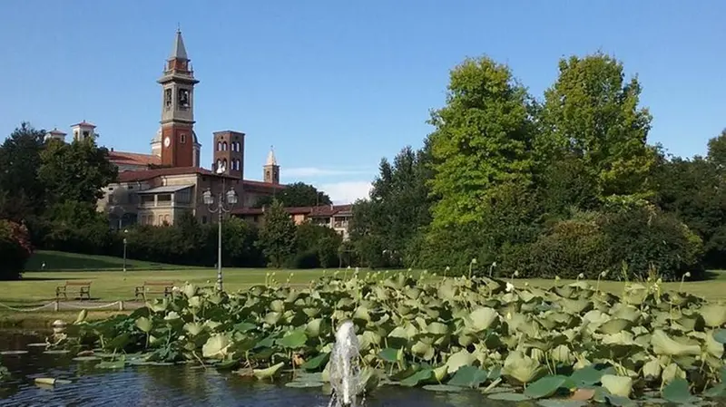 Al parco Nocivelli di Verolanuova la «Caccia al tesoro botanico» - © www.giornaledibrescia.it