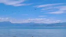 Uno dei lanci di paracadutisti militari sul lago di Garda - foto tratta da Facebook