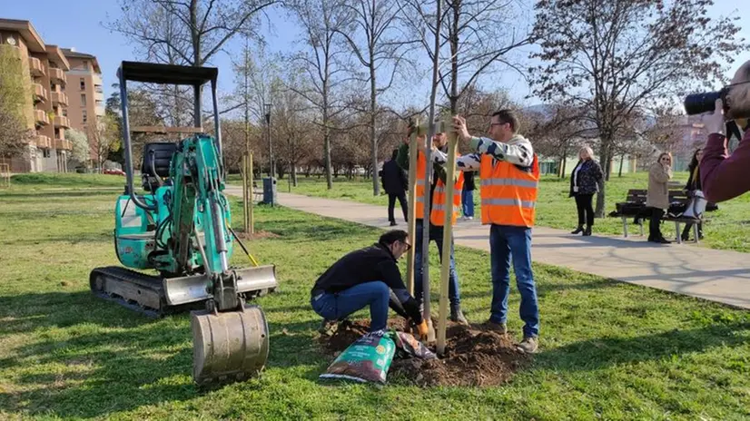 Nuove piantumazioni a Brescia per «Inalberiamoci»