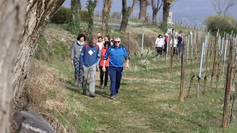 Domenica 16 aprile la camminata solidale - © www.giornaledibrescia.it