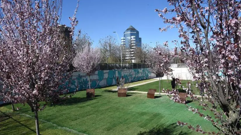 Presentato il Giardino dei Giusti al Tarello, dopo la riqualificazione
