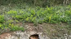 I rifiuti lasciati dai vandali all'acquedotto romano di Costalunga