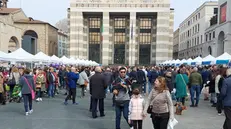 Folla in piazza Vittoria per il Pigliatutto