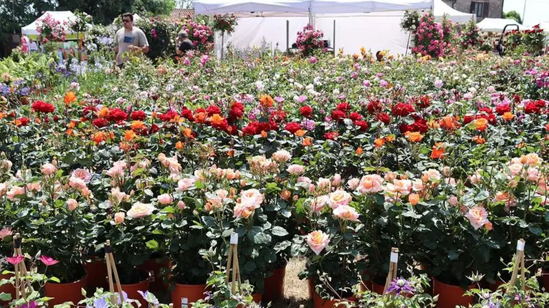 Alcune istantanee dalla scorsa edizione di Franciacorta in fiore