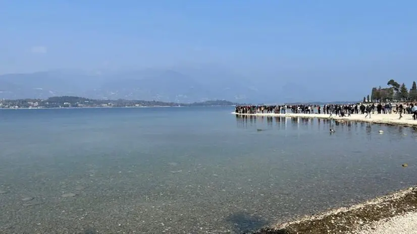Il pienone di domenica 5 marzo all'Isola dei Conigli