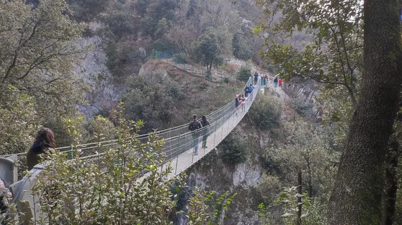 Il ponte tibetano nel tratto sopra Torri del Benaco - © www.giornaledibrescia.it