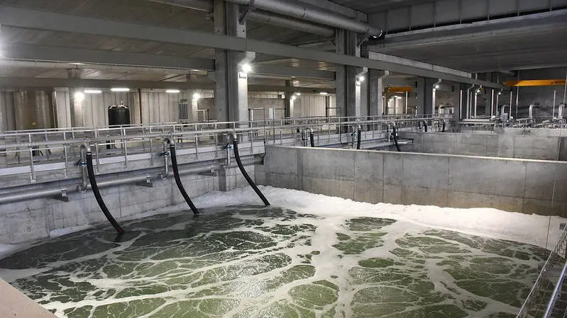 Visite guidate in occasione della Giornata mondiale dell'acqua