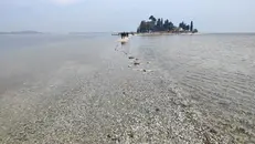 Il lago è tornato a far parzialmente sparire l'istmo dell'Isola dei Conigli