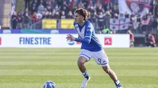 Al Brescia servono anche i gol del suo numero nove - Foto New Reporter Nicoli © www.giornaledibrescia.it
