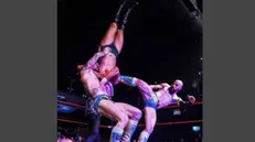 Il wrestling è sport tornato prepotentemente di moda - © www.giornaledibrescia.it