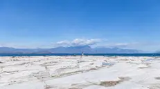 Le rocce del promontorio di Sirmione emerse dal lago per la siccità - Foto New Reporter Nicoli © www.giornaledibrescia.it