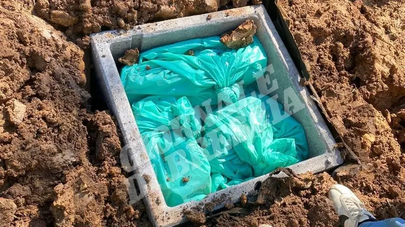 I panetti di denaro ritrovati dalla Guardia di Finanza