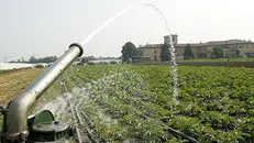 Irrigazione dei campi - © www.giornaledibrescia.it