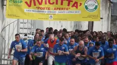 Il «Vivicittà», manifestazione podistica a Verziano - © www.giornaledibrescia.it