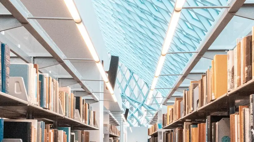 Il sogno di una biblioteca in azienda -  Foto unsplash.com