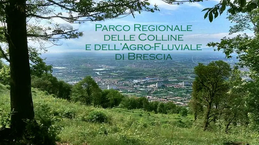 Aree protette, tutela della biodiversità e valorizzazione territoriale saranno i tre punti chiave - © www.giornaledibrescia.it