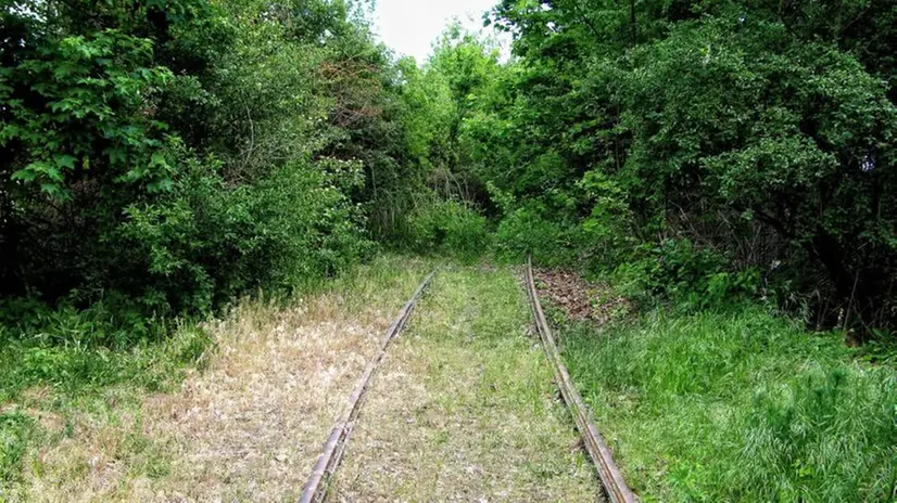 Una ferrovia invasa dal bosco - © www.giornaledibrescia.it
