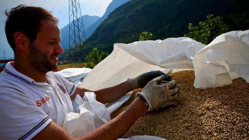 I produttori si preparano per la nuova birra «Busana»