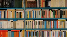 Una libreria con scaffali fitti di libri - Ria per Unsplash