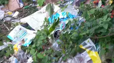 Numerosi i rifiuti abbandonati in Franciacorta - © www.giornaledibrescia.it