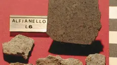 Frammenti del meteorite di Alfianello nella collezione di un privato - Foto © Maurizio Eltri