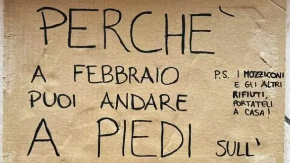 Il cartellone delle due attiviste all'Isola dei Conigli © www.giornaledibrescia.it