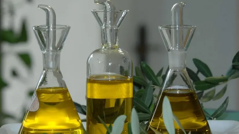 Olio, eccellenza bresciana