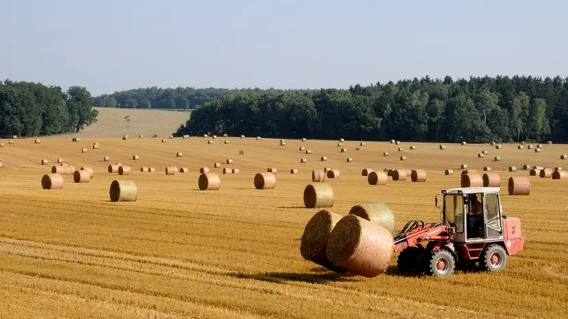 Nel Bresciano ci sono 9.498 aziende agricole