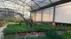Gli spazi della Floricoltura Prati di Botticino chiuderanno dopo 40 anni