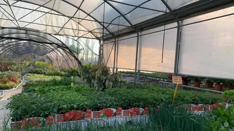 Gli spazi della Floricoltura Prati di Botticino chiuderanno dopo 40 anni