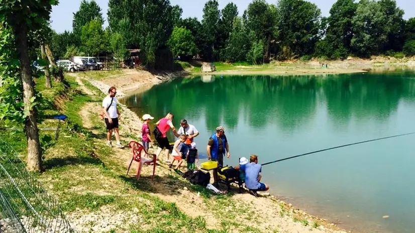 Il laghetto dei cigni di Berlingo durante la stagione estiva - Foto tratta dalla pagina Fb Pescatori Berglingo - Laghetto dei cigni