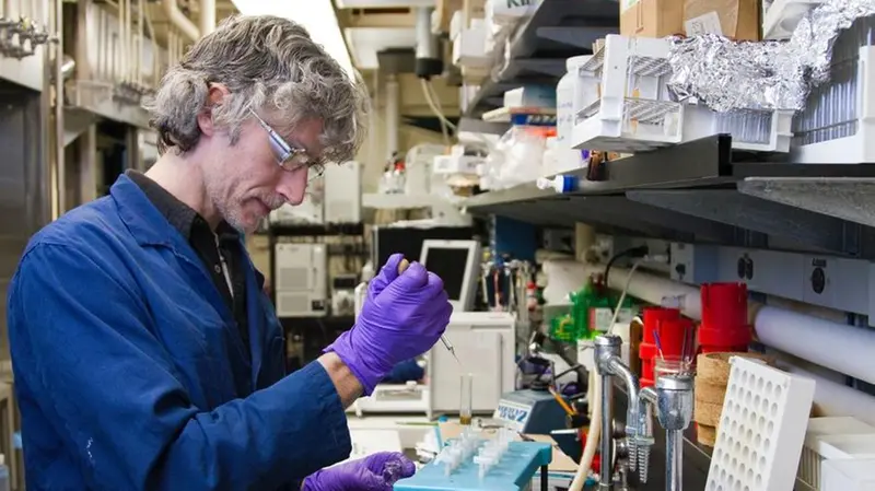 La carne può essere ricreata in laboratorio con le staminali