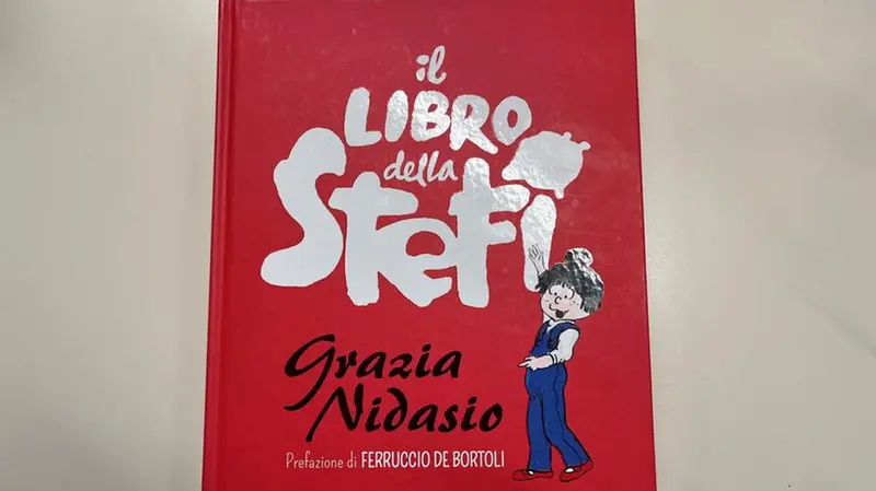 La copertina di Il libro della Stefi