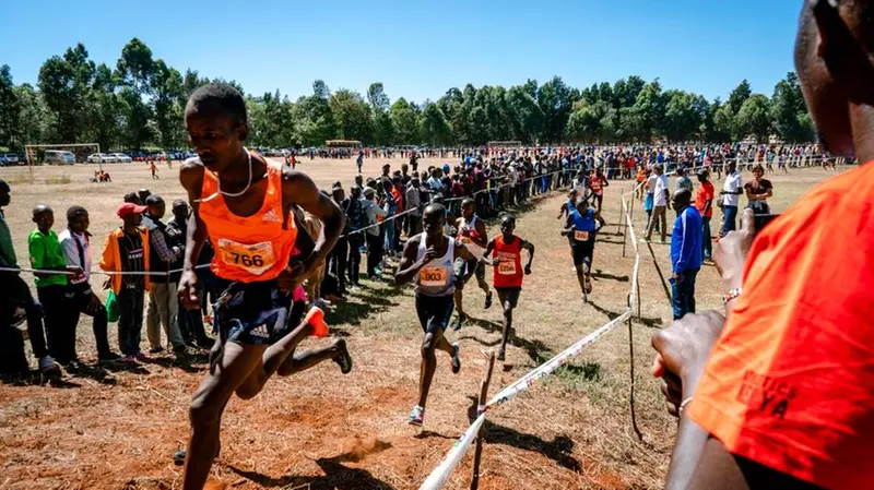 Alcuni momenti vissuti al Kenya Discovery